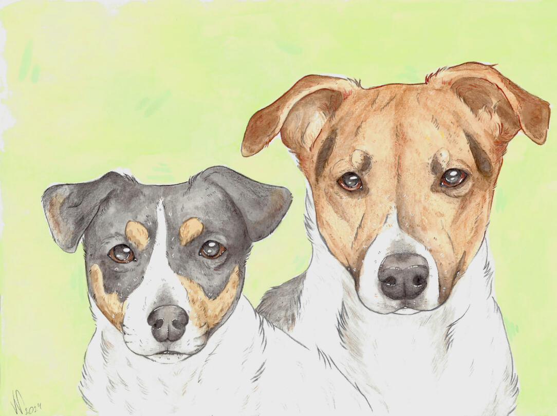 Traditional dog portrait