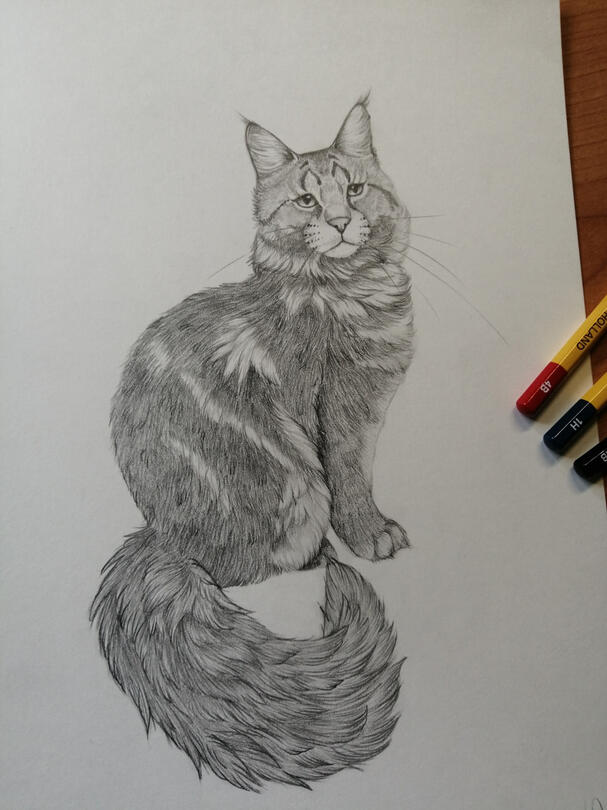 traditional cat portrait